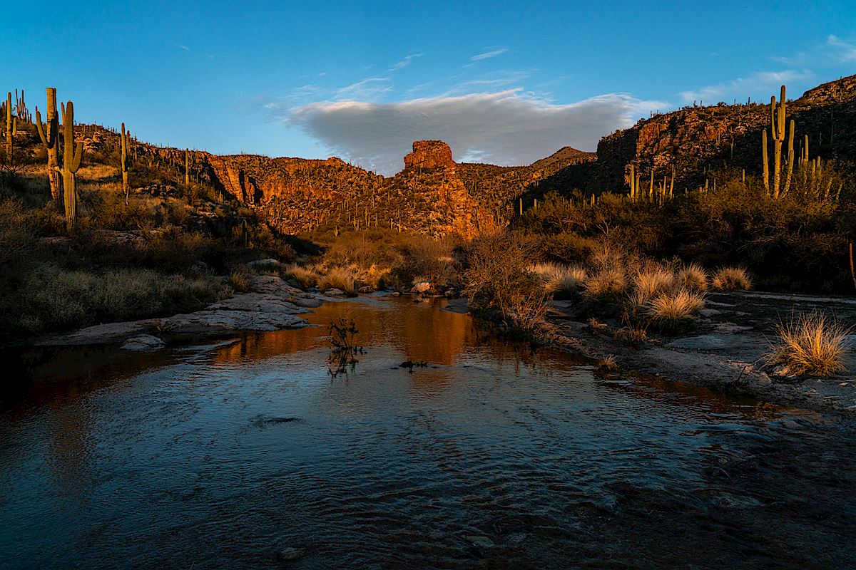Sunset on the Agua Caliente Canyon Trail - below the junction of La Milagrosa and Agua Caliente Canyons. February 2019.